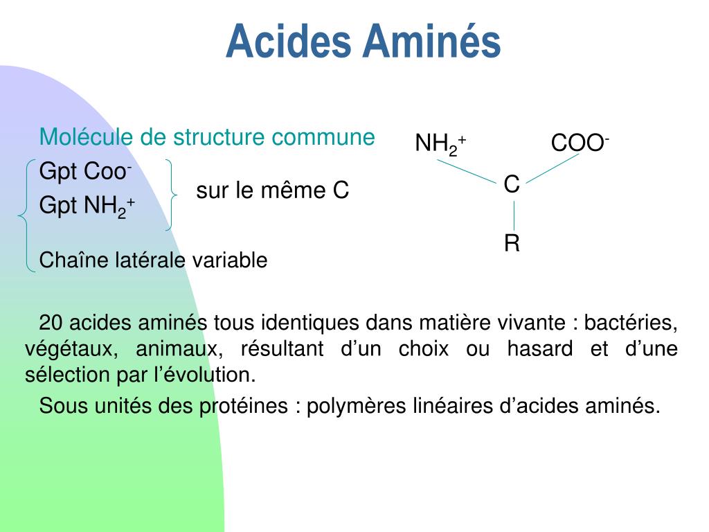 PPT PETITES MOLECULES PowerPoint Presentation, free
