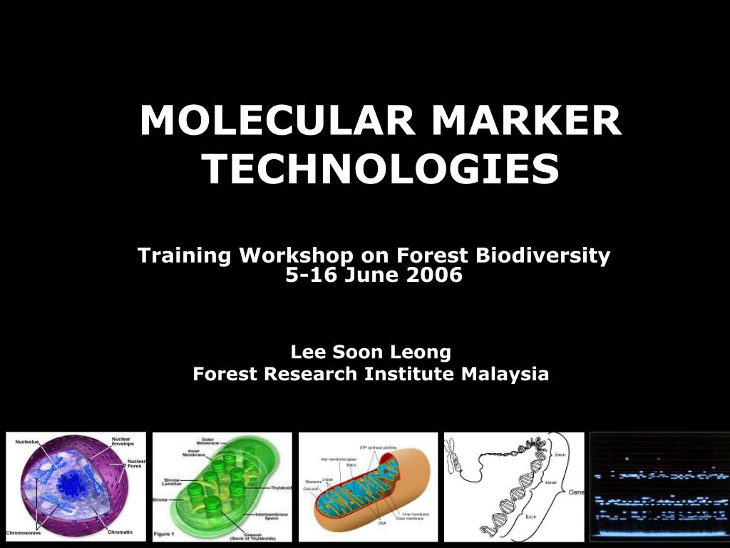 PPT MOLECULAR MARKER TECHNOLOGIES PowerPoint Presentation, free