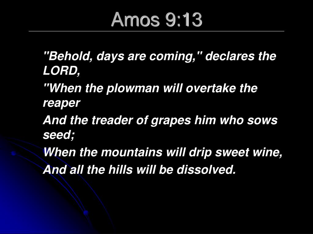 PPT Amos PowerPoint Presentation ID192573