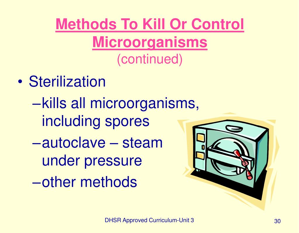 PPT Infection Control PowerPoint Presentation, free download ID197826