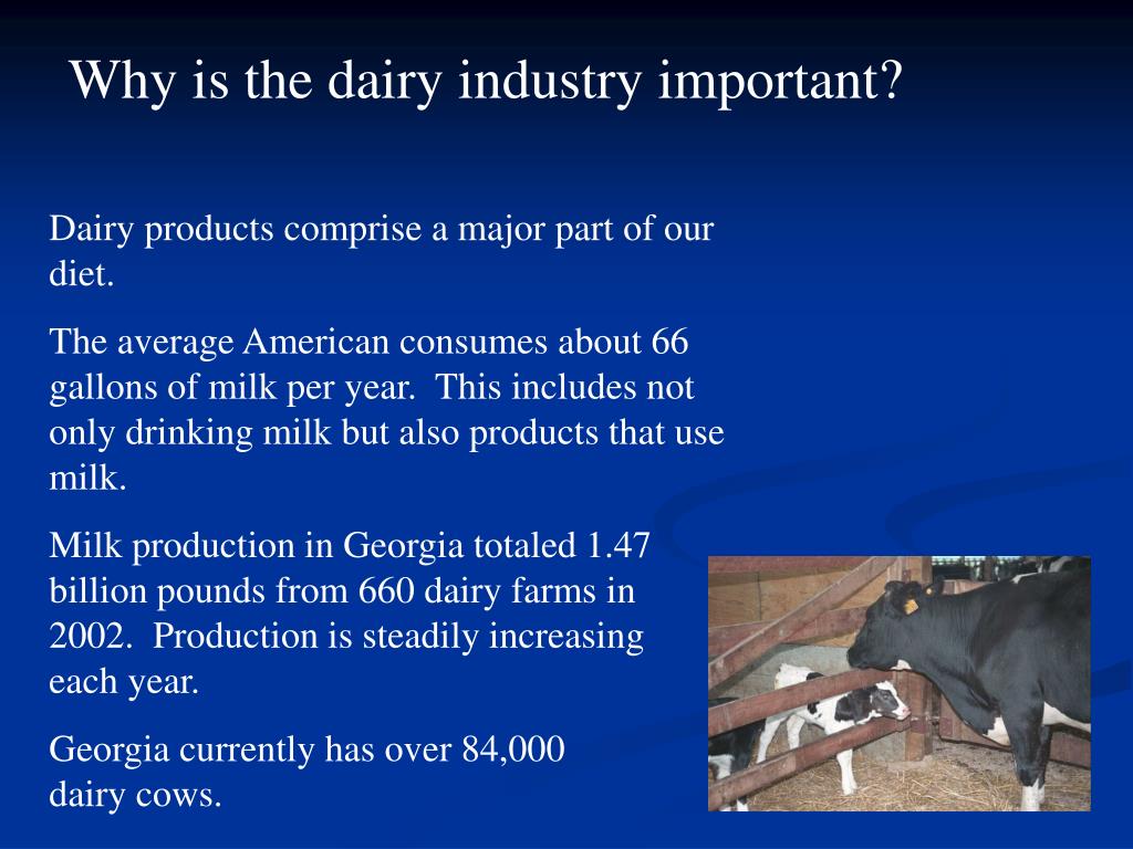 PPT Dairy Industry An Overview of the Dairy Industry in