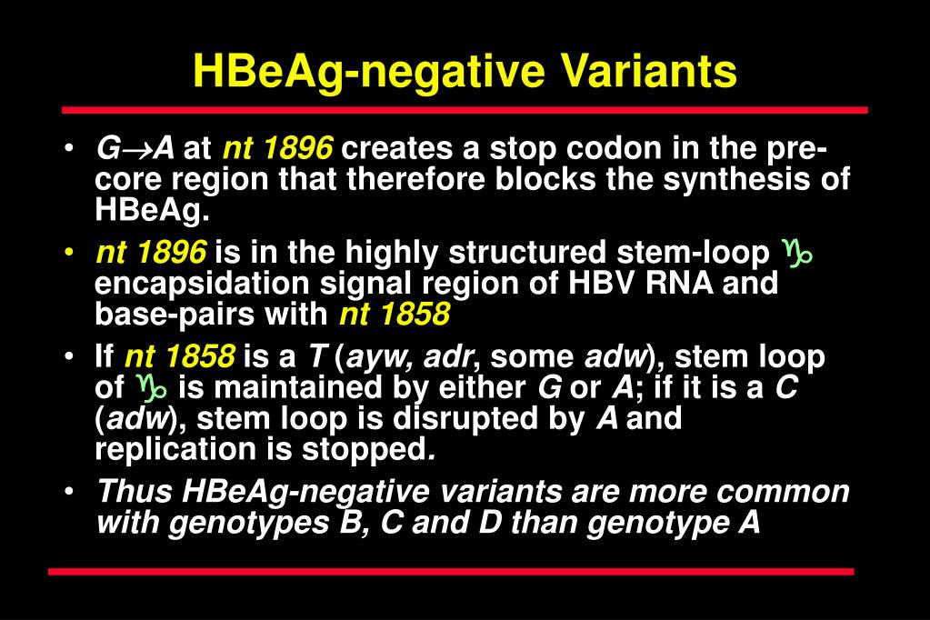 PPT Hepatitis B PowerPoint Presentation, free download