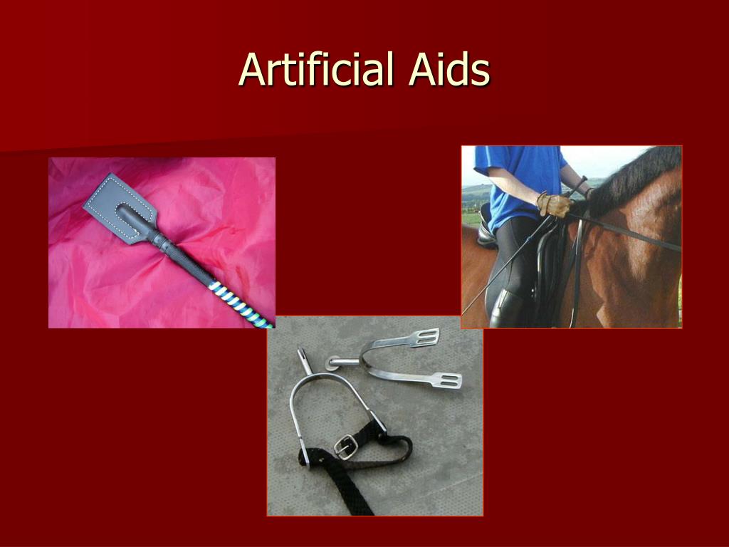 PPT Maryland 4H Horsemanship Standards Riding Levels 3 4