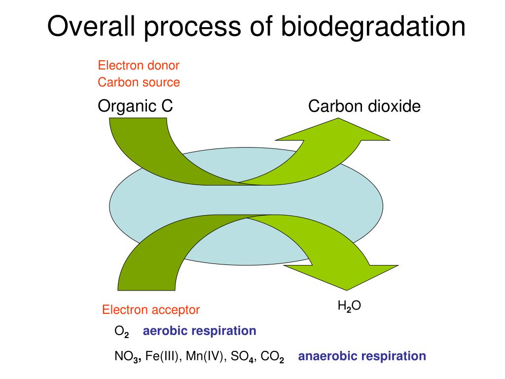 PPT and Organic Pollutants PowerPoint Presentation