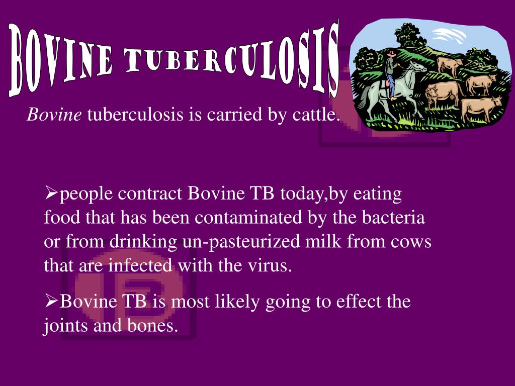 PPT Tuberculosis PowerPoint Presentation, free download ID202512