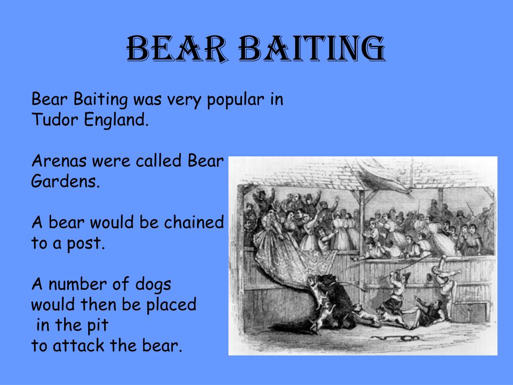 PPT Henry’s Hobbies PowerPoint Presentation ID203379