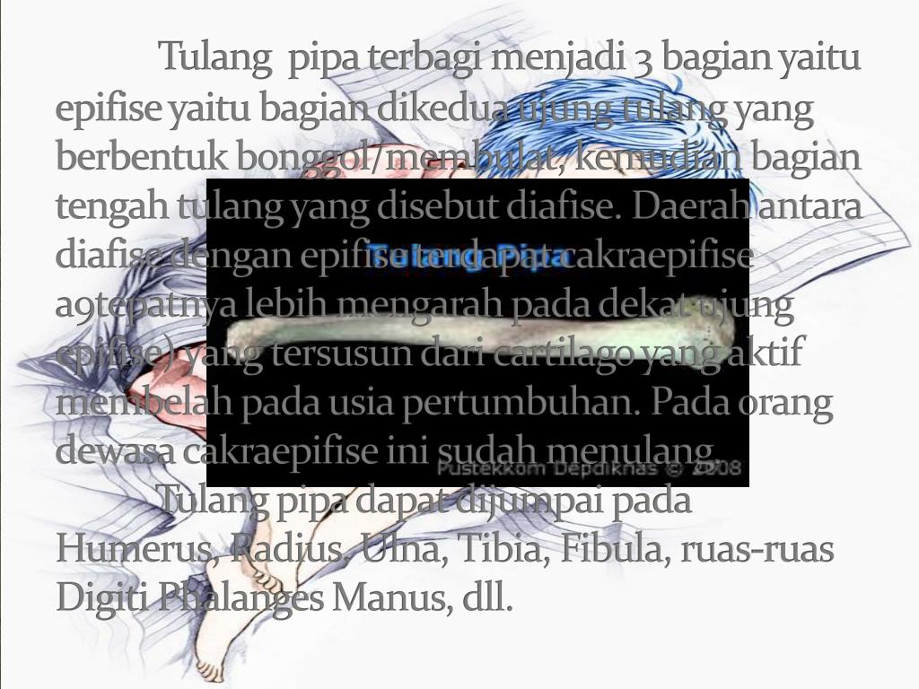 PPT Sistem Gerak Pada Manusia PowerPoint Presentation, free download