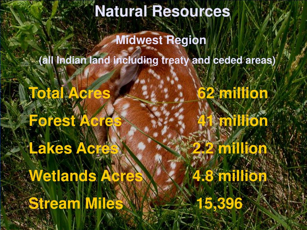 PPT BIA Midwest Region FY 2010 National Budget Meeting PowerPoint