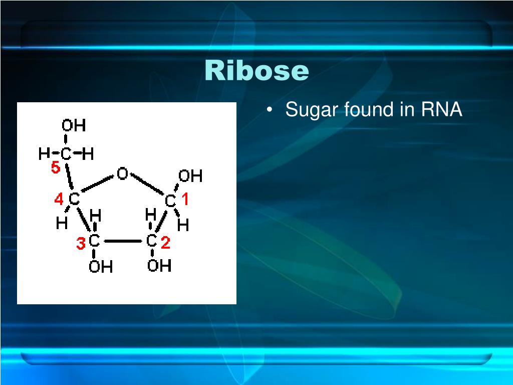 PPT The Chemistry of Life PowerPoint Presentation, free download ID