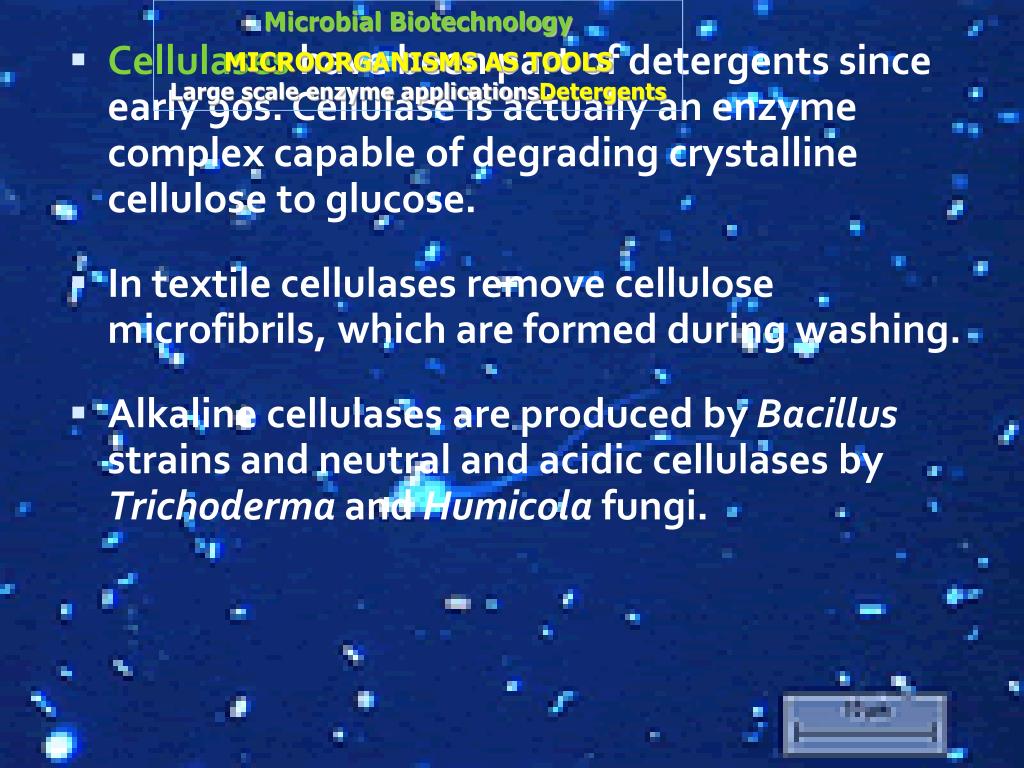 PPT Chapter 5 Microbial Biotechnology…… PowerPoint Presentation, free
