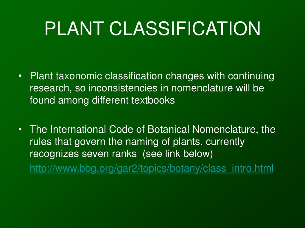 PPT PLANT CLASSIFICATION PowerPoint Presentation, free download ID208892