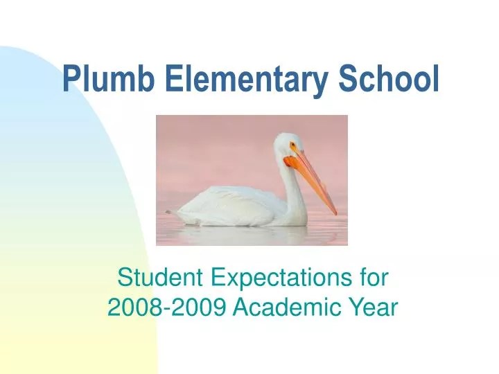 PPT Plumb Elementary School PowerPoint Presentation, free download