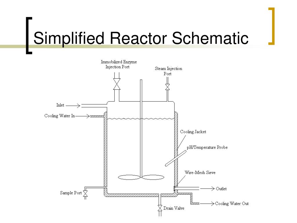 PPT Design of Enzyme Reactor PowerPoint Presentation, free download