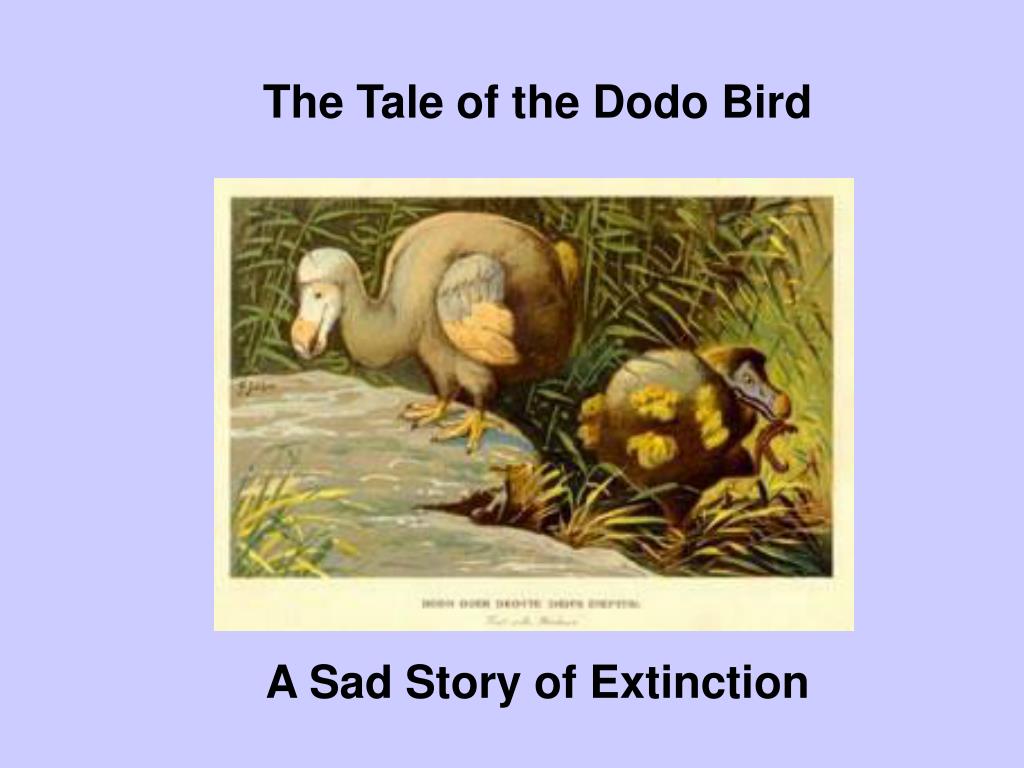 PPT The Tale of the Dodo Bird PowerPoint Presentation, free download ID209700