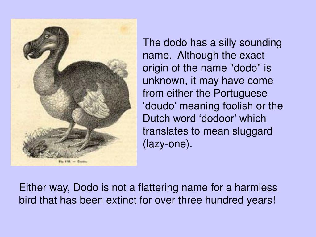 PPT The Tale of the Dodo Bird PowerPoint Presentation, free download