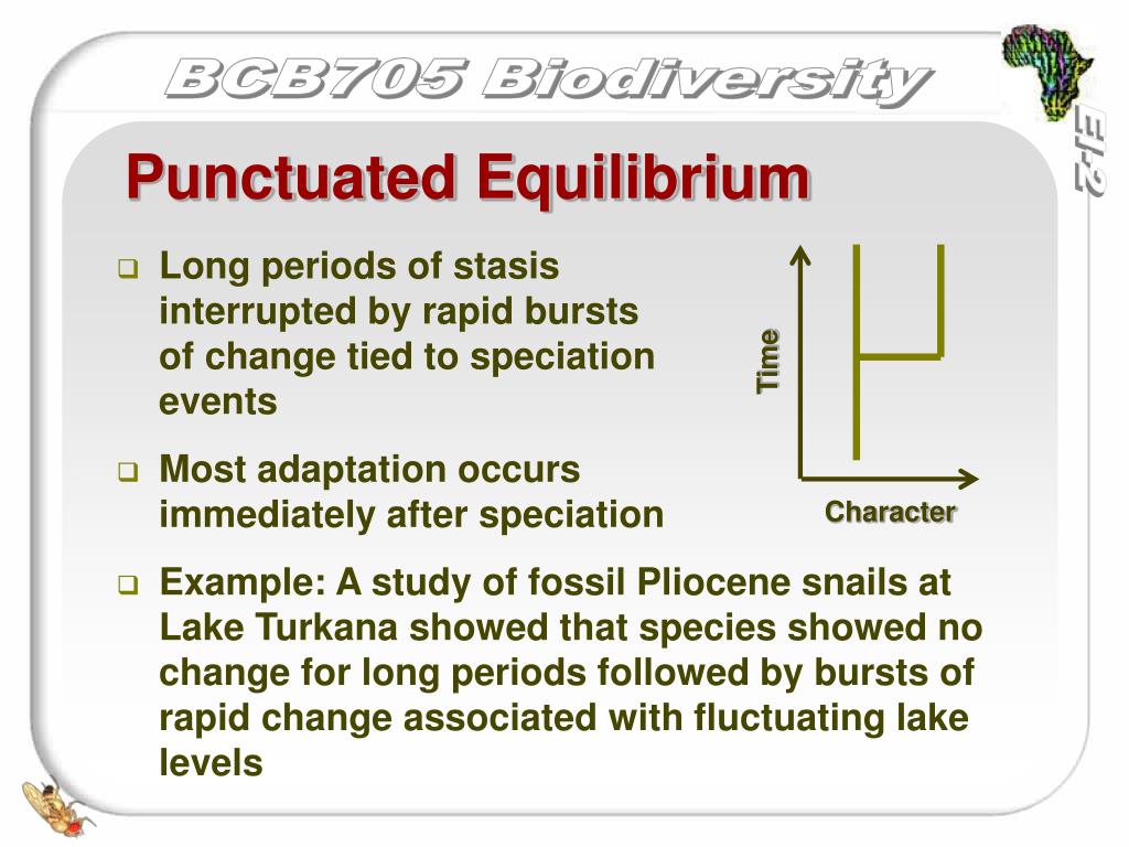 PPT Evolution Selection and Speciation PowerPoint Presentation, free