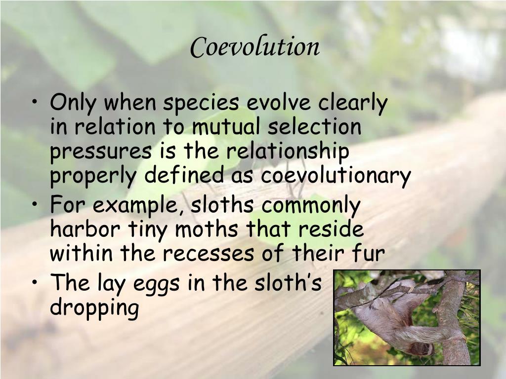 PPT Coevolution PowerPoint Presentation, free download ID210192