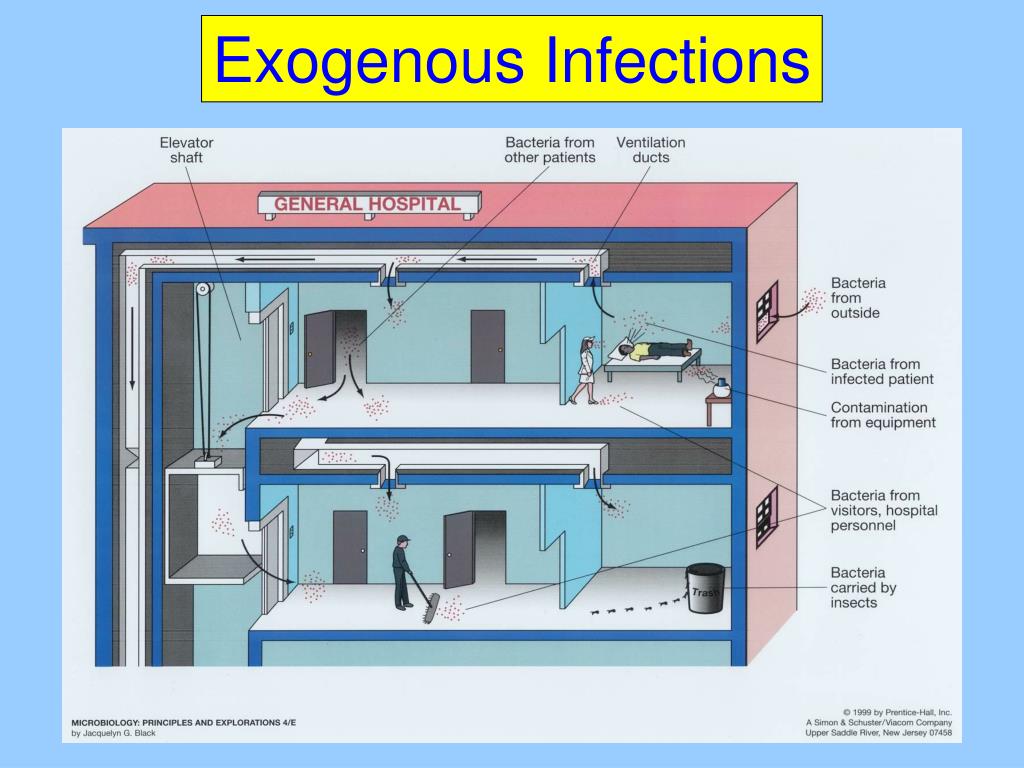 PPT Chapter 20 Epidemiology PowerPoint Presentation, free download