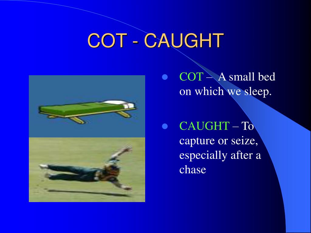 PPT DEFINITION OF HOMOPHONES PowerPoint Presentation, free download