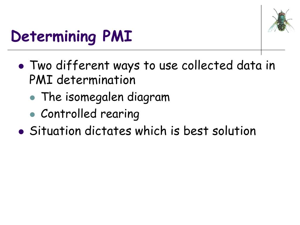 PPT An Introduction to Forensic Entomology PowerPoint Presentation
