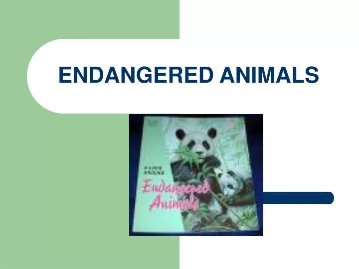 PPT ENDANGERED ANIMALS PowerPoint Presentation, free download ID21245