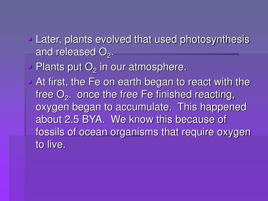 PPT Chapter 13 PowerPoint Presentation, free download ID21291