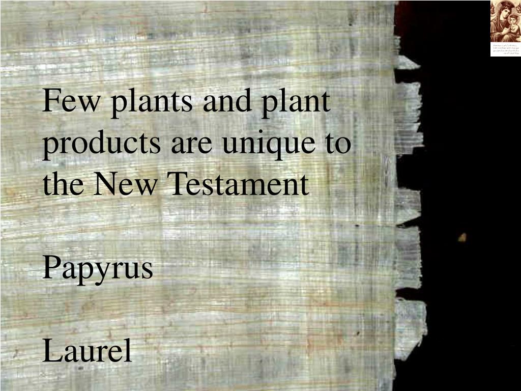 PPT Plants of the Bible PowerPoint Presentation ID212926