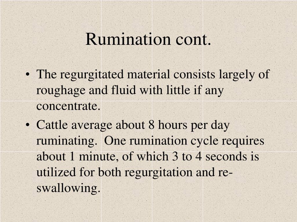 PPT Animal Science Animal Digestion PowerPoint Presentation, free
