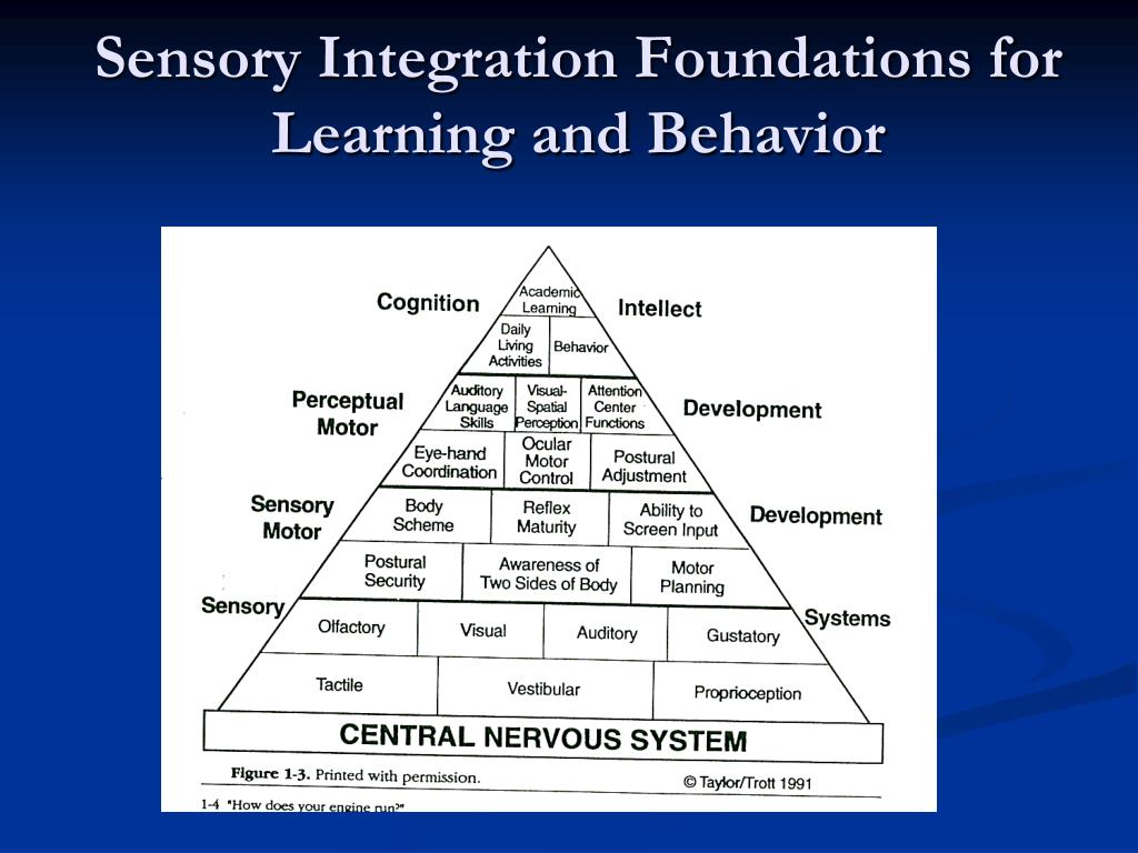 PPT Sensory Processing Disorder Identification and Intervention