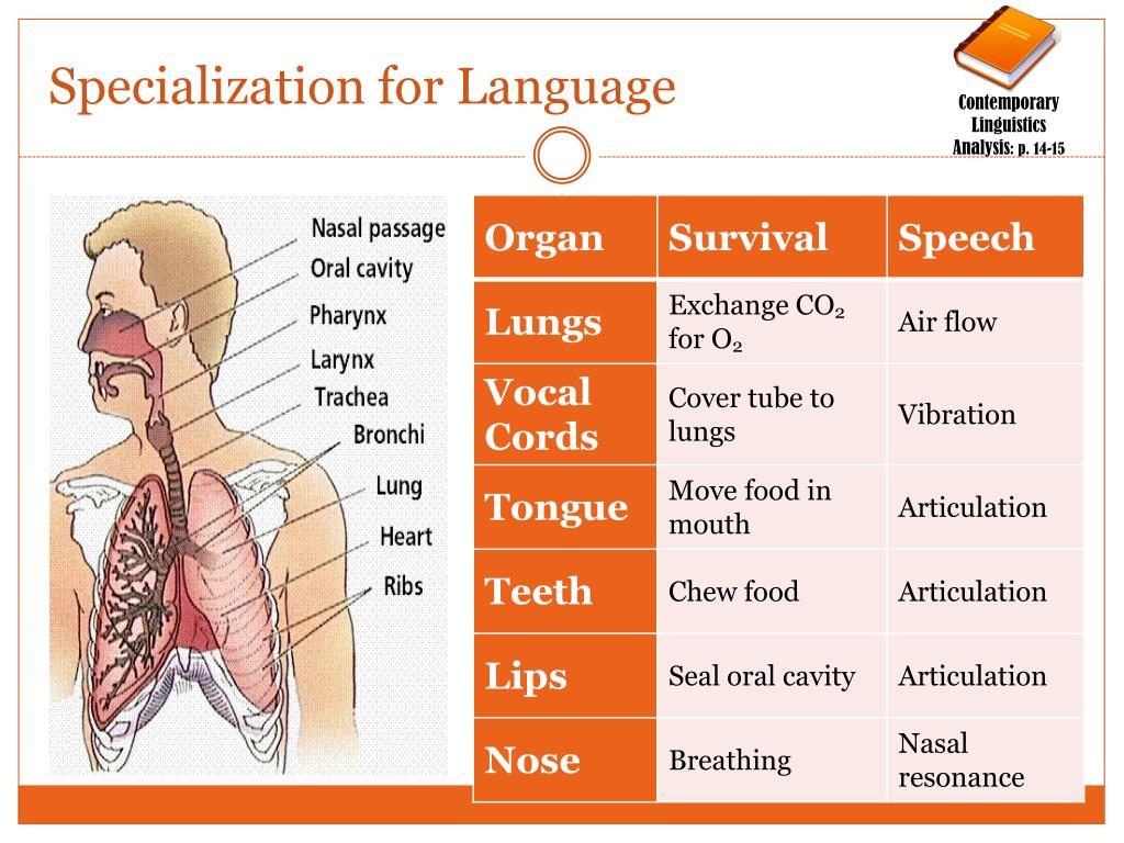PPT PowerPoint Presentation, free download ID216291