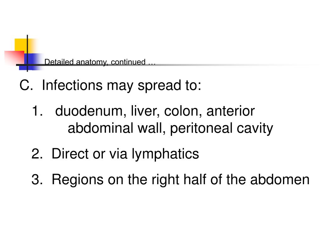 PPT THE GALLBLADDER PowerPoint Presentation, free download ID216330