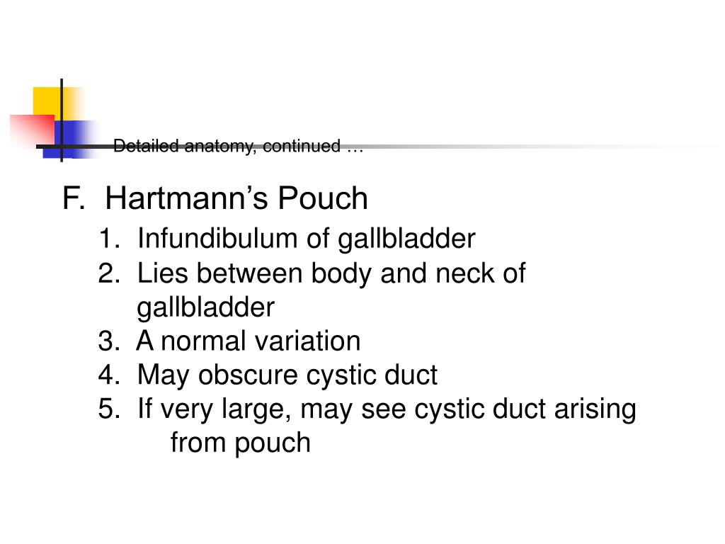 PPT THE GALLBLADDER PowerPoint Presentation, free download ID216330