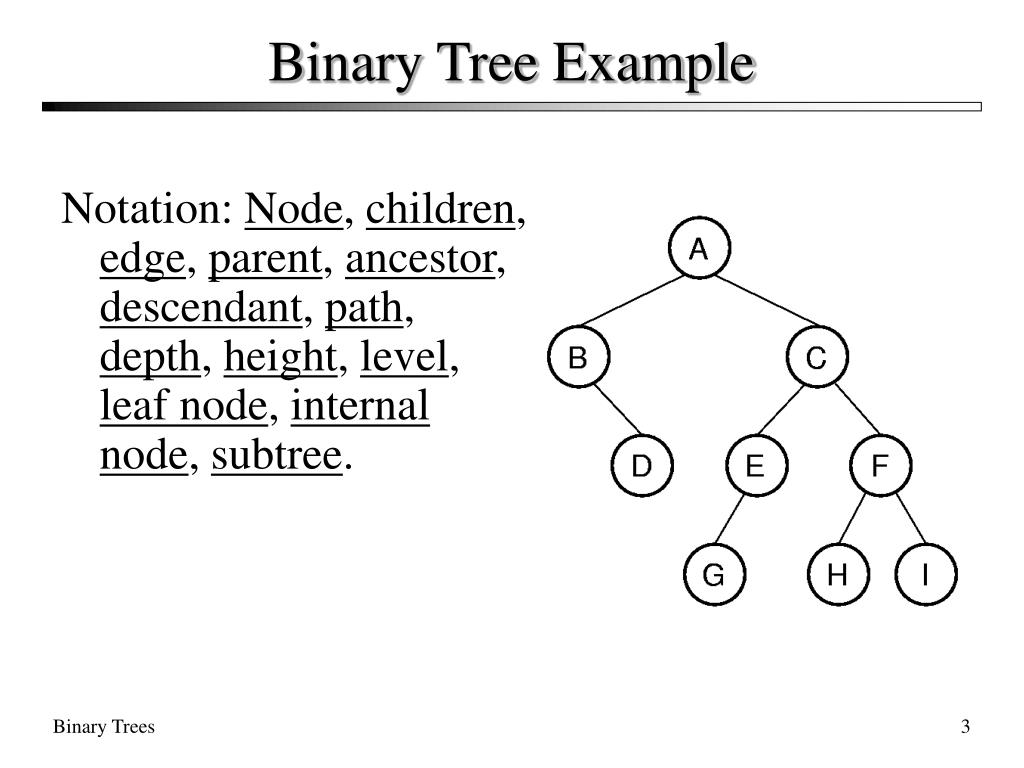 PPT Binary Trees PowerPoint Presentation, free download ID216707