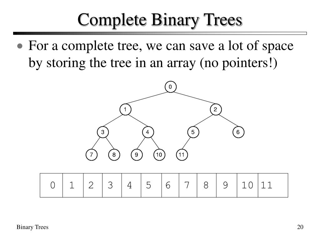 PPT Binary Trees PowerPoint Presentation, free download ID216707
