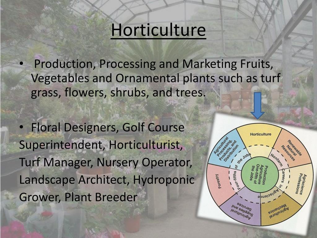 Careers In Agriscience