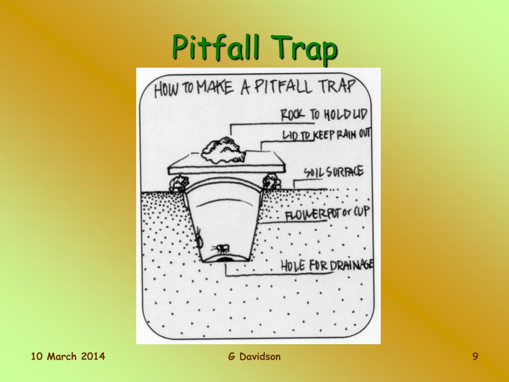 PPT The Biosphere PowerPoint Presentation, free download ID217202