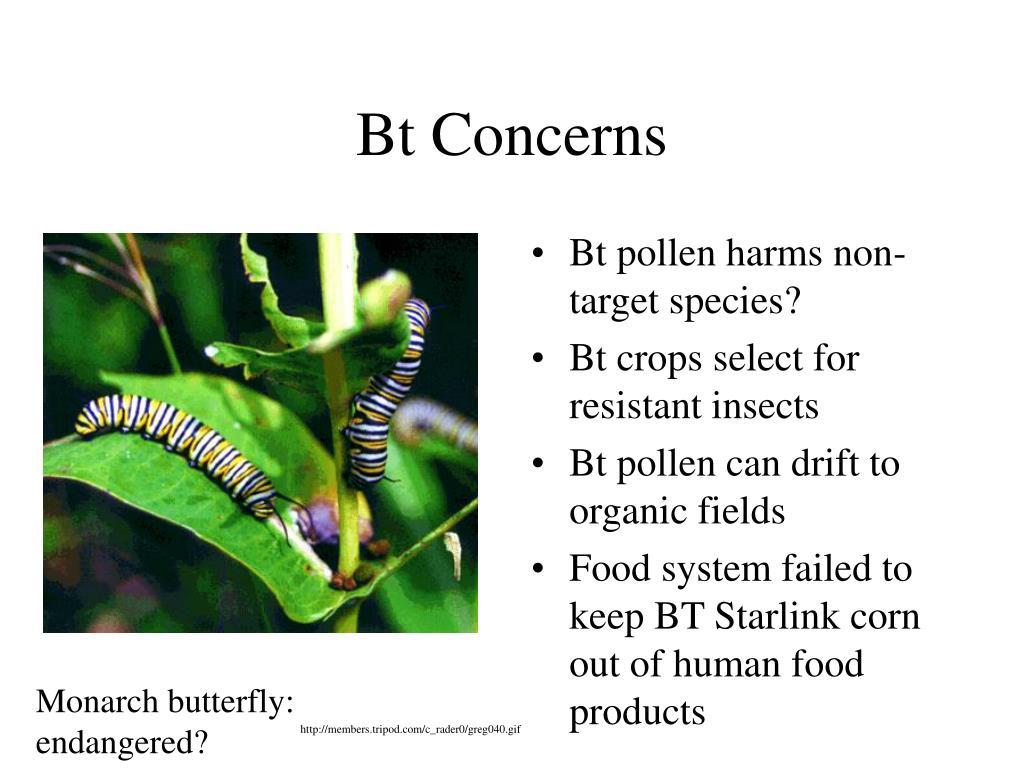 PPT Food Biotechnology Ethics PowerPoint Presentation, free download