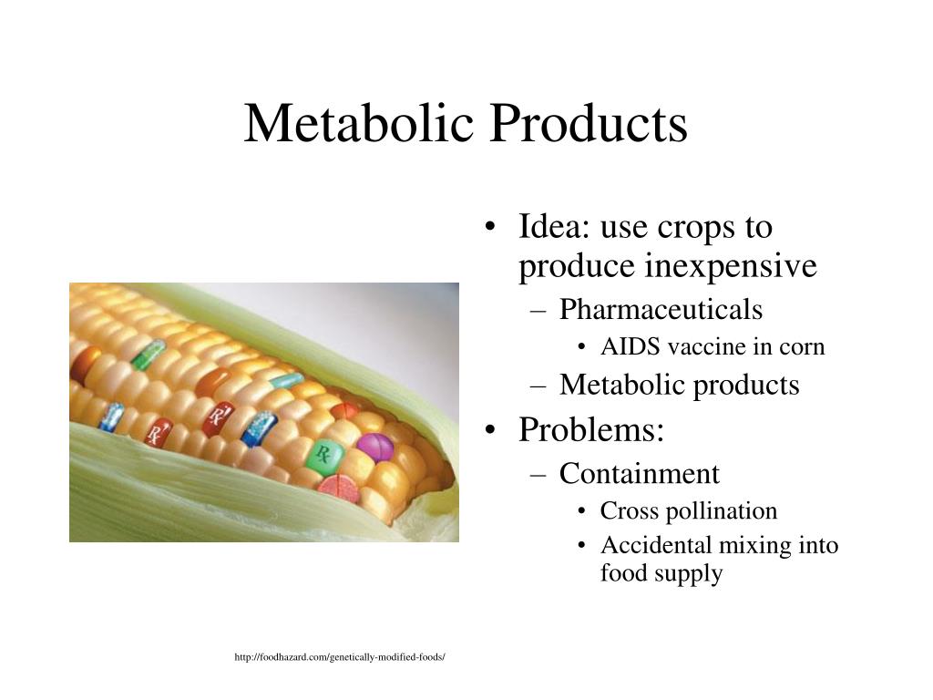 Metabolic Cooking Recipes Free – Metabolic Cooking Review