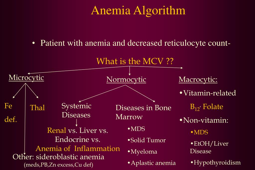 PPT Anemia 101 Case Studies PowerPoint Presentation ID218513