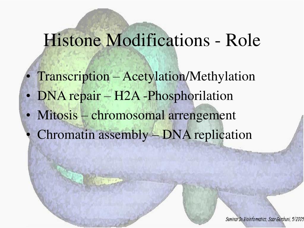 PPT Histone Modifications PowerPoint Presentation, free download ID