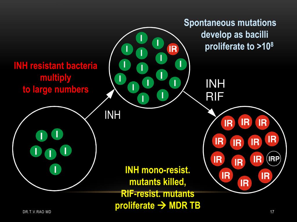 PPT Multidrug resistant tuberculosis PowerPoint Presentation, free download ID220006