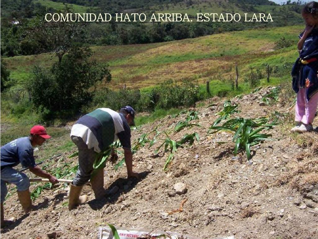 PPT Programa Especial para la Seguridad Alimentaria y el Desarrollo