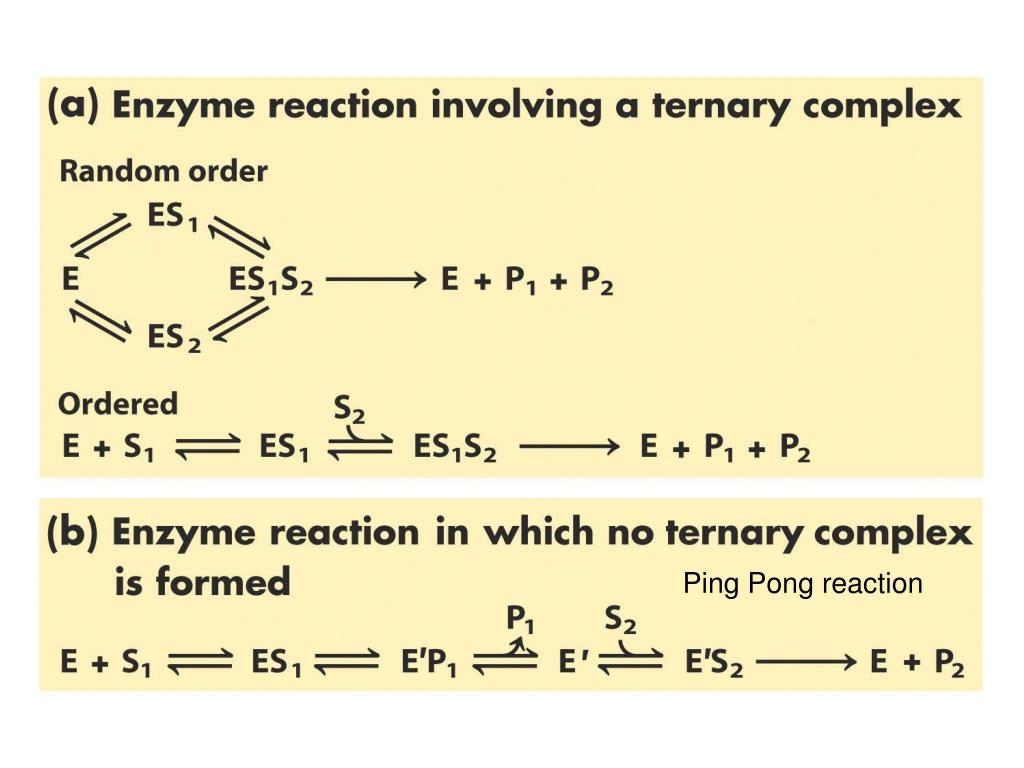 PPT Biochemistry 412 Enzyme II April 1 st , 2005 PowerPoint