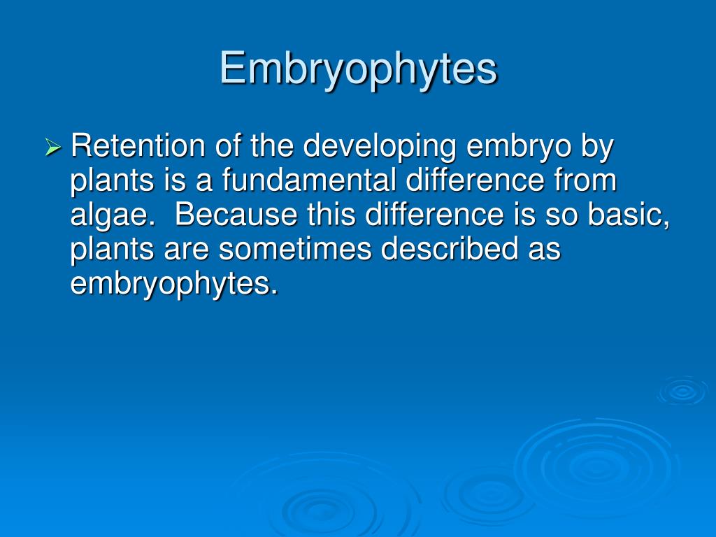 PPT An overview of Plant Evolution PowerPoint Presentation, free