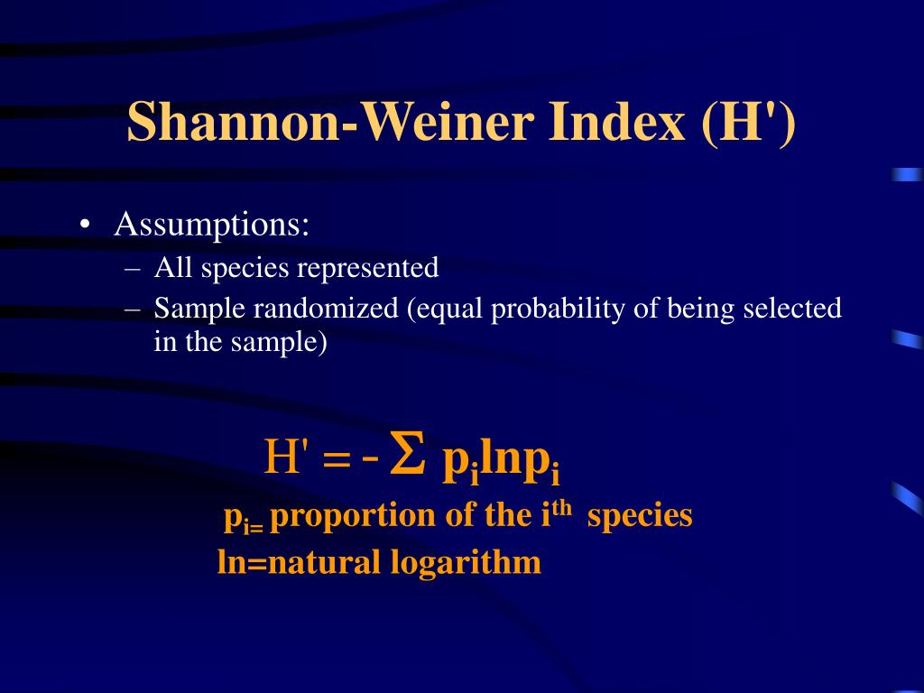 PPT Calculating Diversity PowerPoint Presentation ID225301