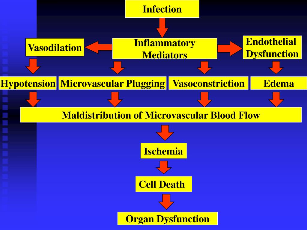 PPT The Pathophysiology of Sepsis / SIRS and MOF PowerPoint