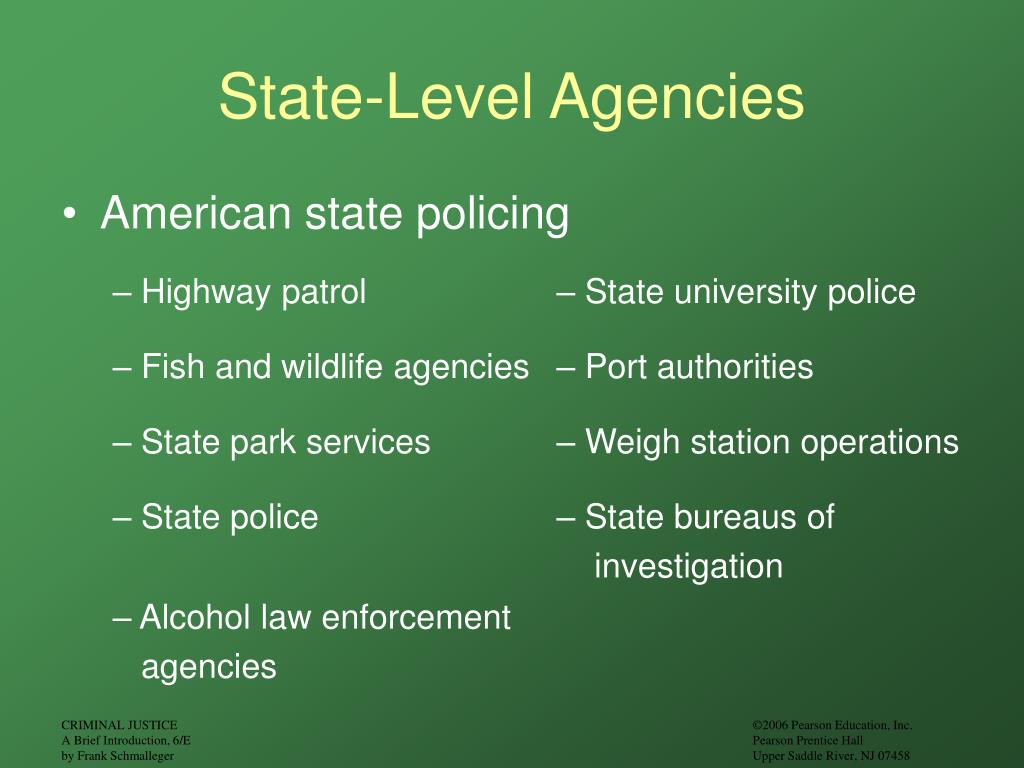 PPT Chapter 4 Policing Purpose and Organization PowerPoint
