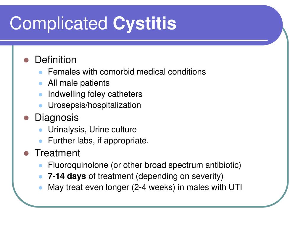PPT Urinary Tract Infection PowerPoint Presentation