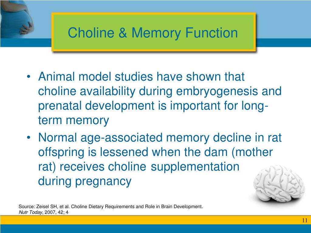 PPT The Choline Connection A Healthcare Professional’s Guide to