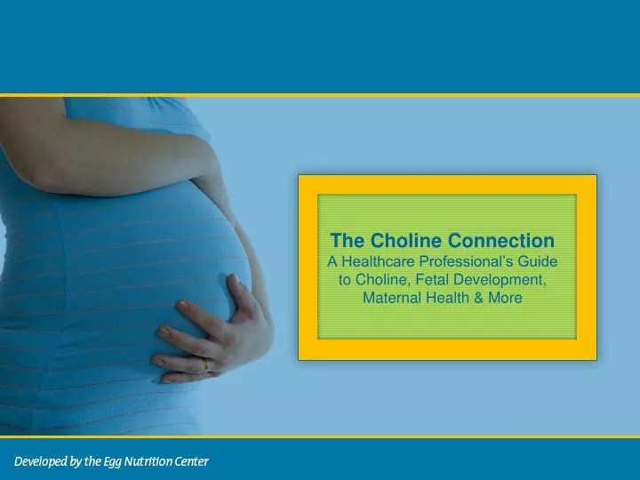 PPT The Choline Connection A Healthcare Professional’s Guide to